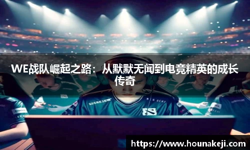 mk体育官网